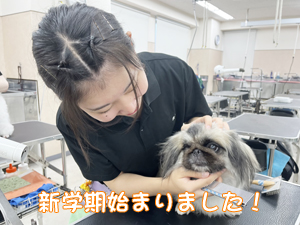 新学期になりました♪